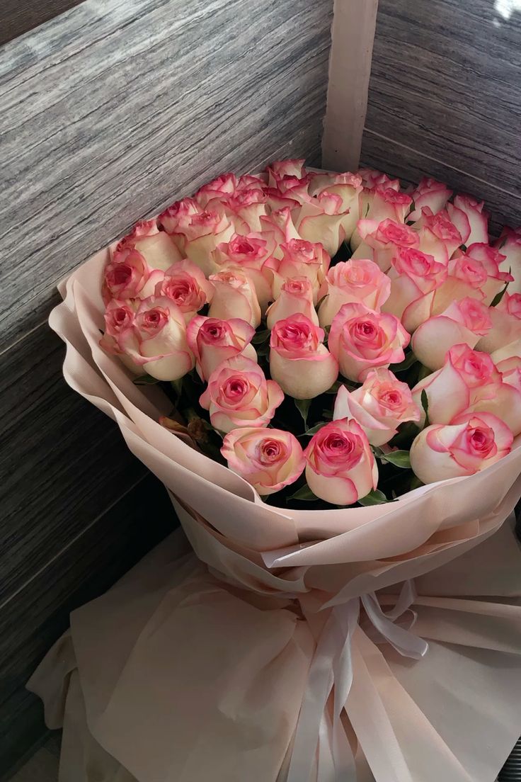 Dải màu hoa hồng Sophia hé nở tự nhiên