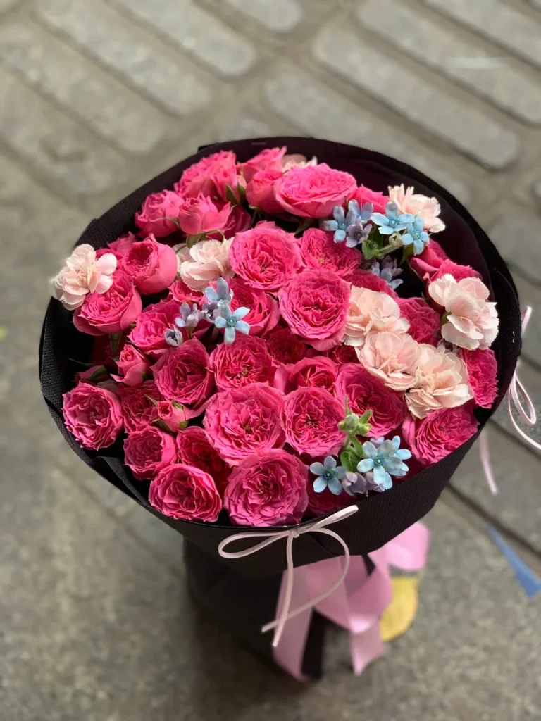 Hoa Hồng Sophia: Vẻ Đẹp Thanh Lịch Từ Cánh Hoa Đến Sắc Màu hoa honng